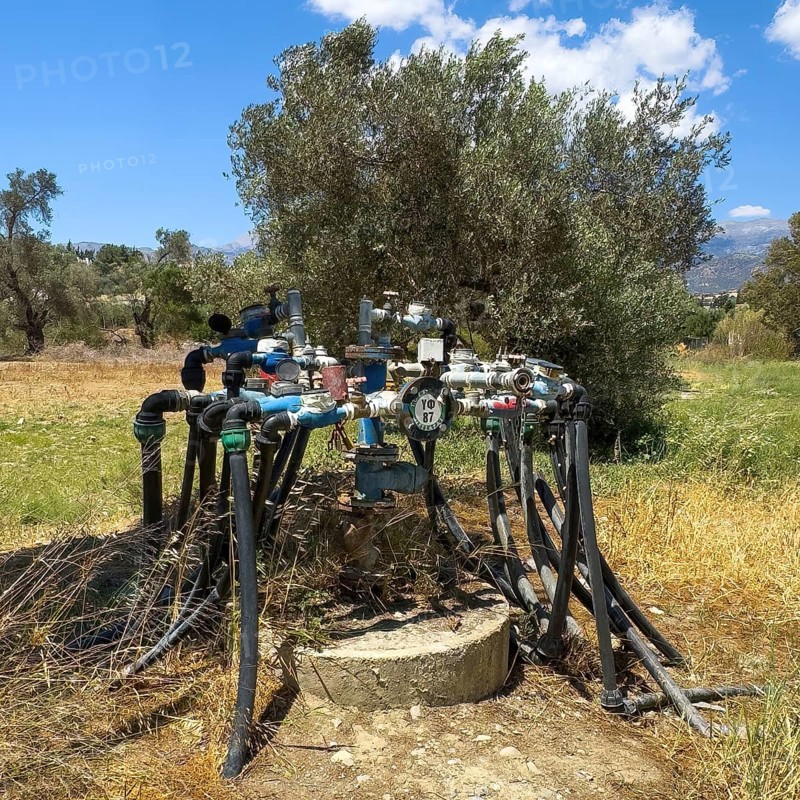 Irrigation irrigation distributor irrigation system water supply with high water consumption of for olive trees (Olea europaea) olive tree on plantation of olive olive plantation with nutrient-poor soil system of water taps water crane water cranes many hoses water hoses, Crete, Greece, Europe