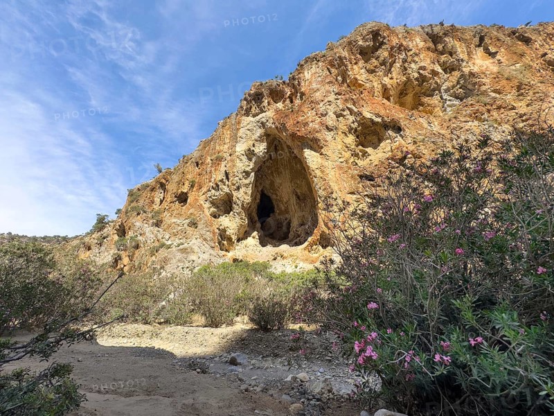View of large natural grotto cave A Muerte in Agiofarago gorge of the saints on south coast of Crete island, in the foreground bushes of oleander (Nerium oleander) rose laurel, Crete, Greece, Europe