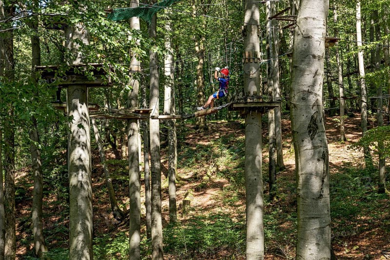 Boy climbing in the climbing forest, platforms, ropes, rope ladders, suspension bridges, beech trees, beech forest, family outing, Hoherodskopf summit, tertiary volcano, Schotten, Vogelsberg Volcano Region nature park Park, Hesse, Germany, Europe