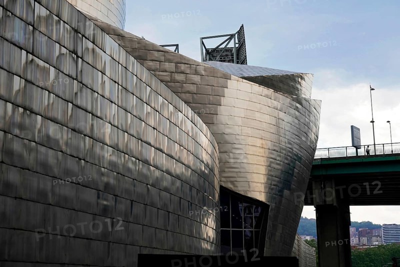 Guggenheim Museum Bilbao, Spain, Europe, Exterior view of a modern brushed steel building in an urban environment, Guggenheim Museum Bilbao on the banks of the Nervion River, architect Frank O. Gehry, Bilbao, Basque Country, Europe