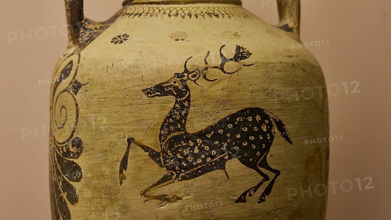 Antique jug with a detailed image of a stag and floral ornaments in black on a beige background, interiors, Archaeological Museum, Old Town, Rhodes Town, Rhodes, Dodecanese, Greek Islands, Greece, Europe