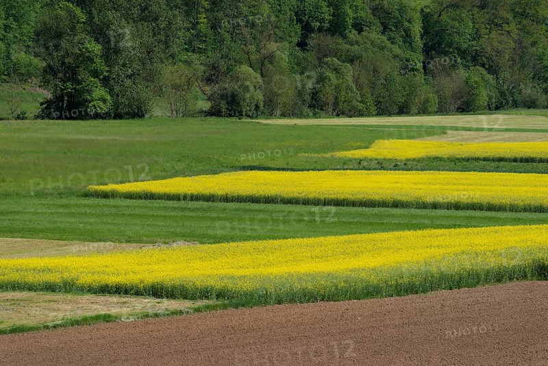 Middle Jagst valley in spring, May, river valley, river, Jagst, Baechlingen, Langenburg-Baechlingen, Langenburg an der Jagst, Hohenlohe, Heilbronn-Franken, Baden-Wuerttemberg, Germany, Europe