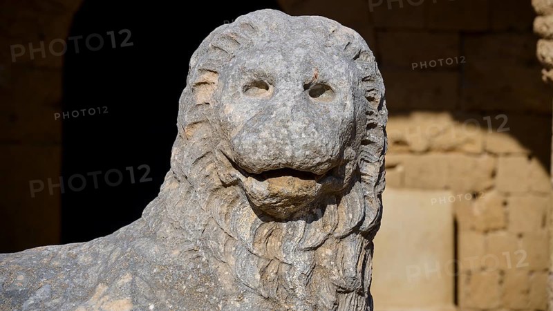 Close-up of a stone lion statue with detailed facial expression, outdoor area, Archaeological Museum, Old Town, Rhodes Town, Rhodes, Dodecanese, Greek Islands, Greece, Europe