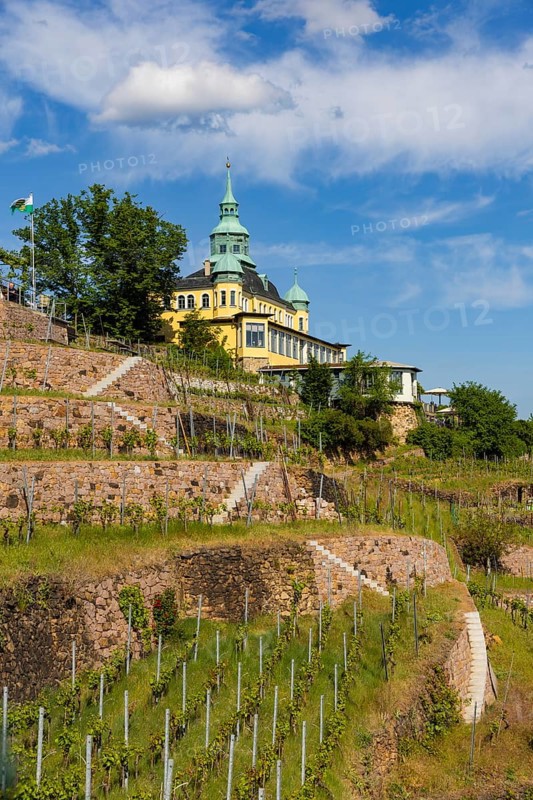 Weingut am Goldenen Wagen. The Spitzhaus is a former summer residence in the Saxon town of Radebeul. The building, which can be seen from afar, is located on the edge of the slope of the Elbe valley basin above Hofloessnitz in the Oberloessnitz district. The heritage-protected (1) Radebeul landmark at Spitzhausstrasse 36 still serves as an excursion restaurant with a sweeping view over the Elbe valley and as far as Dresden, Radebeul, Saxony, Germany, even after its renovation and reopening in 1997, Europe