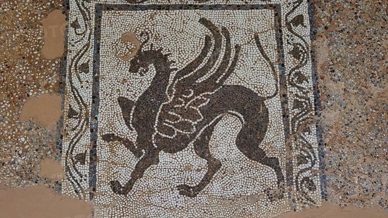 Antique mosaic with a winged mythological horse surrounded by decorative patterns, outdoor area, Archaeological Museum, Old Town, Rhodes Town, Rhodes, Dodecanese, Greek Islands, Greece, Europe