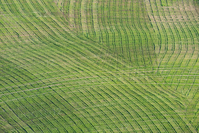 Traces on a cultivated area, Crete Senesi, Province of Siena, Tuscany, Italy, Europe