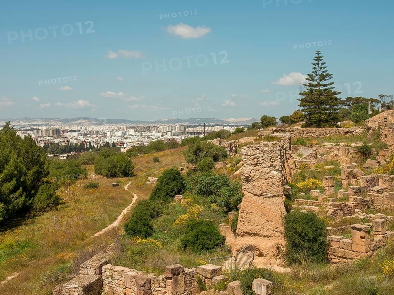 Ruins and cityscape in the background with vegetation and a path under a blue sky, Tunis in Africa with ruins from Roman times, modern mosques and blue and white houses in sidi-bou-said, Tunis, Tunisia, Africa