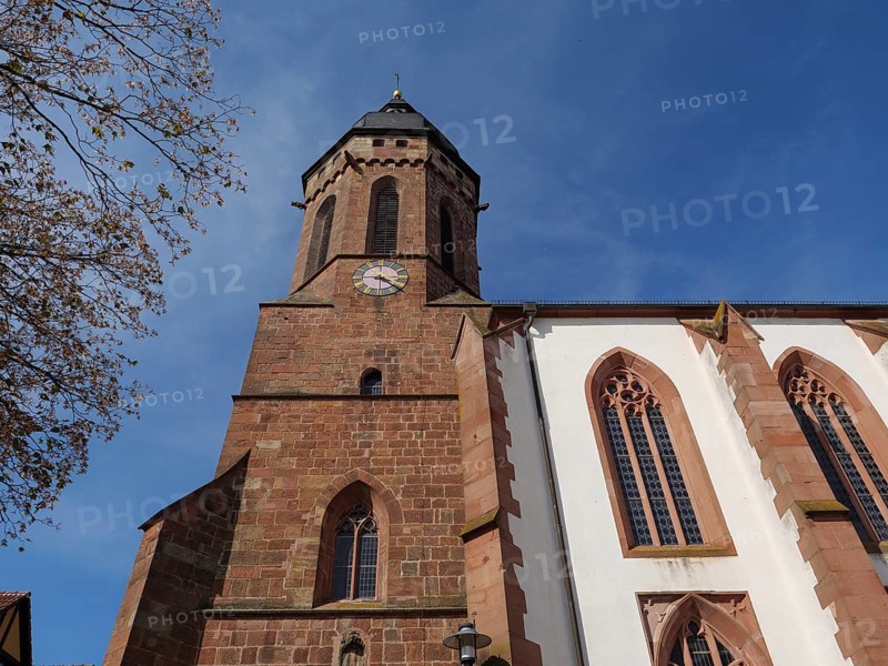 Traditional tower and half-timbered house surrounded by trees under a blue sky, historic half-timbered houses in the Palatinate, kandel, Germany, Europe