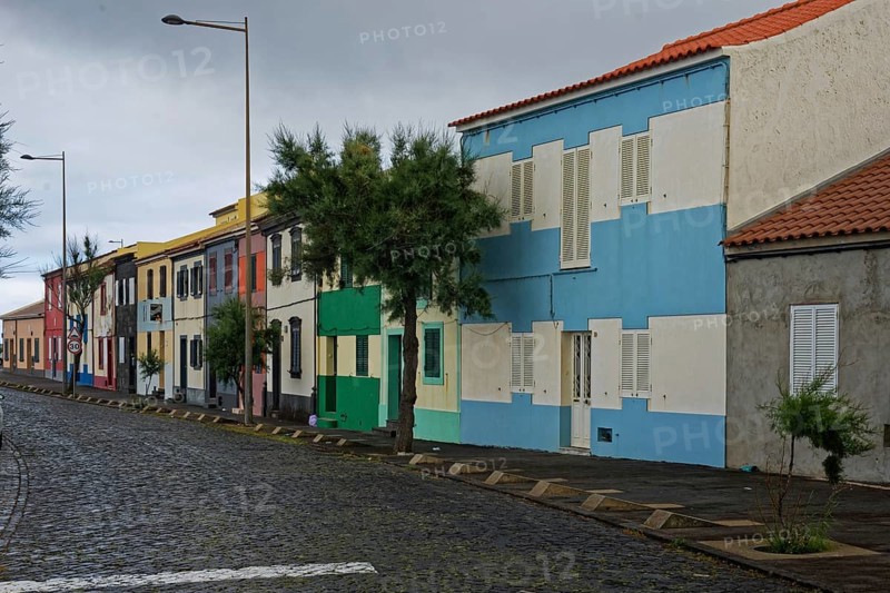 A quiet street with colourful houses, lined with trees, under a cloudy atmosphere, coastal town of Ribeira Grande, Santa Barbara, Sao Miguel, Azores, Portugal, Europe