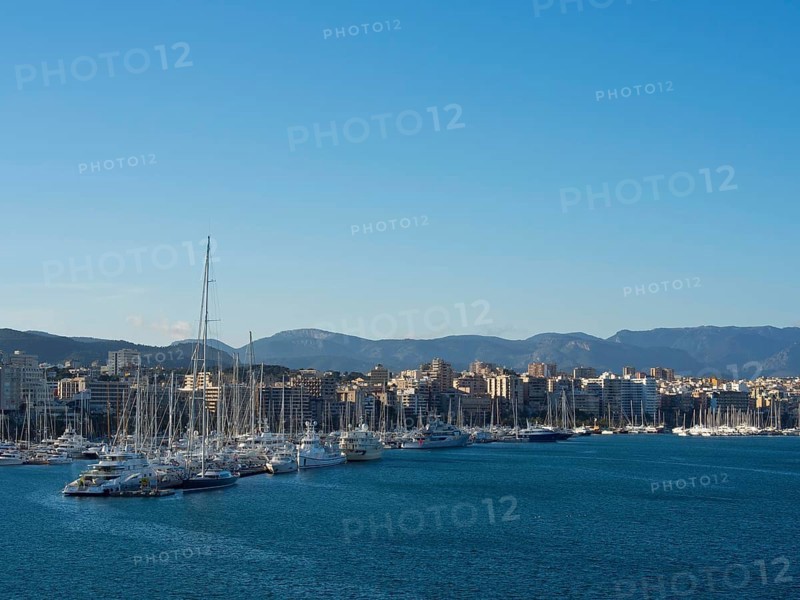 Panoramic view of a harbour with countless boats and yachts, city in the background and mountains in the distance, palma de Majorca with its historic houses, the great cathedral and flowers, palma, spain