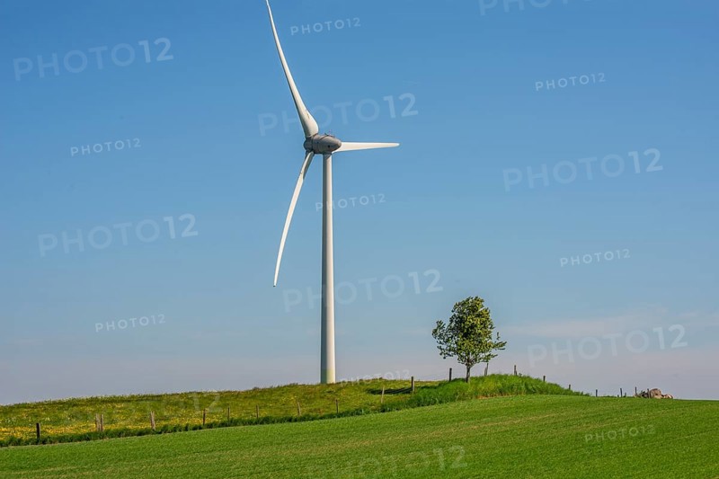 Wind turbine and lone tree in green landscape against blue sky at Smedstorp, Tomelilla municipality, Skane county, Sweden, Scandinavia, Europe