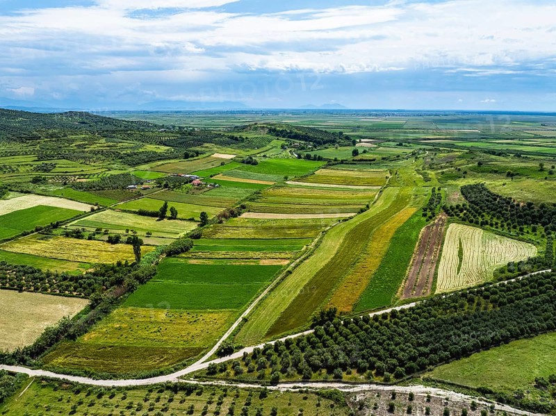 Fields over Apollonia Archaeological Park from a drone, Pojan, Albania, Europe