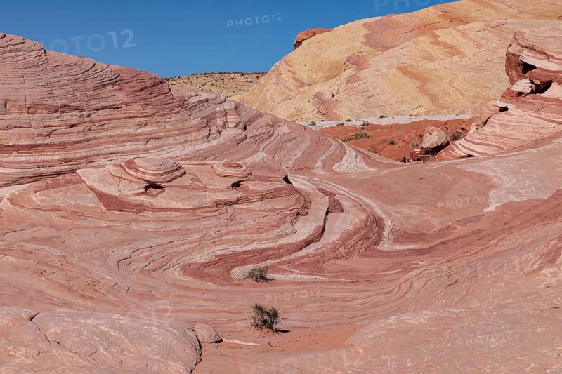 Layered rock formations along the Fire Wave Trail at Valley of Fire State Park near Overton, Nevada, United States of America, USA, North America