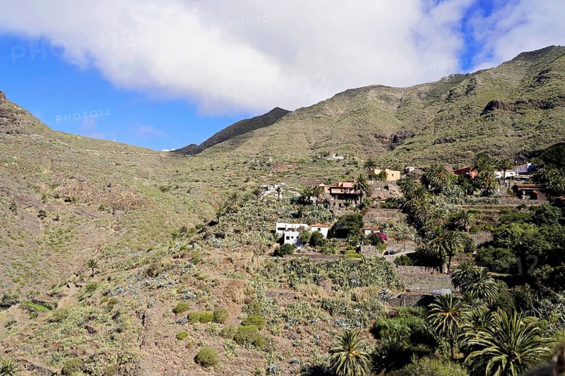 Mountain village Masca, Masca Gorge, Montana Teno Mountains, Tenerife, Canary Islands, Spain, Europe, Mountain landscape with villas and green vegetation under a partly cloudy blue sky, Europe