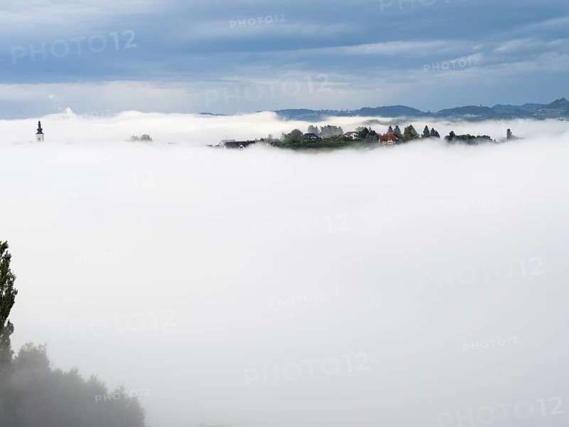 Church rises out of the morning mist, Frauenberg pilgrimage church, near Leibnitz, Styria, Austria, Europe