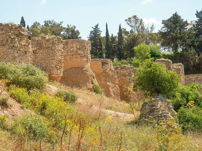 Remains of ancient walls in a landscape of green and yellow vegetation under a blue sky, Tunis in Africa with ruins from Roman times, modern mosques and blue and white houses in sidi-bou-said, Tunis, Tunisia, Africa