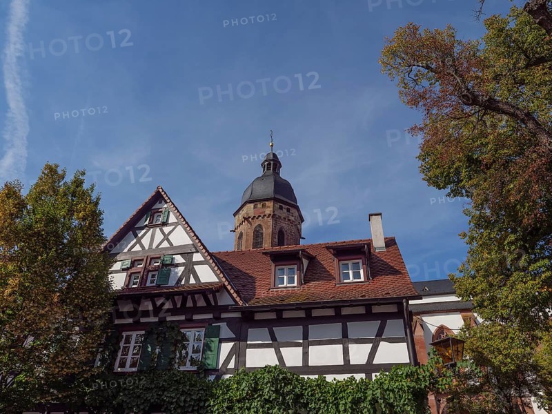 Half-timbered house and church with bell tower in clear autumn weather, historic half-timbered houses in the Palatinate, kandel, Germany, Europe