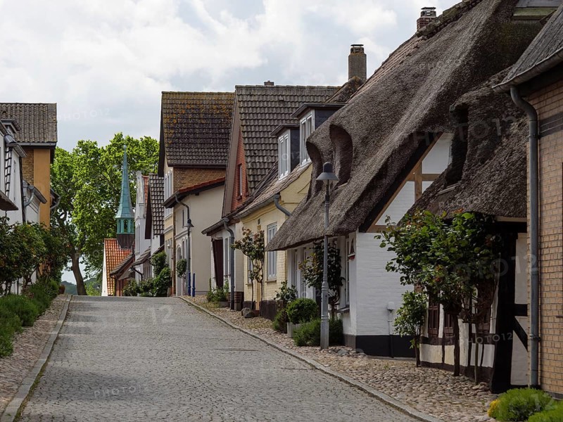 Historic cobbled village street with thatched roof houses and brick houses, lined with trees, street with historic thatched houses in different colours, Maasholm, germany