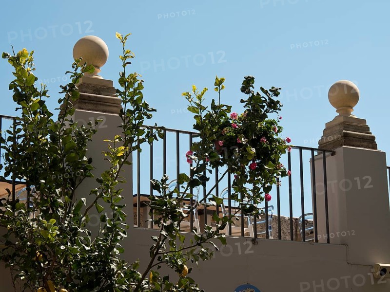 Balustrade with plants in pots and decorations, blue sky above in sunny weather, the town of mdina on the island of malta with historic houses, colourful balconies, magnificent churches, mdina, Malta, Europe