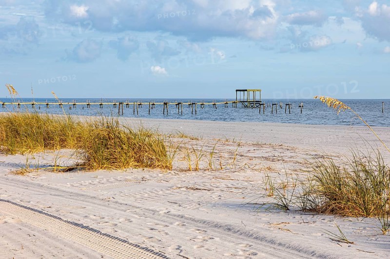 Sea oats and abandoned damaged piers along the man-made sand beach at Pass Christian, Mississippi, United States of America, USA, North America