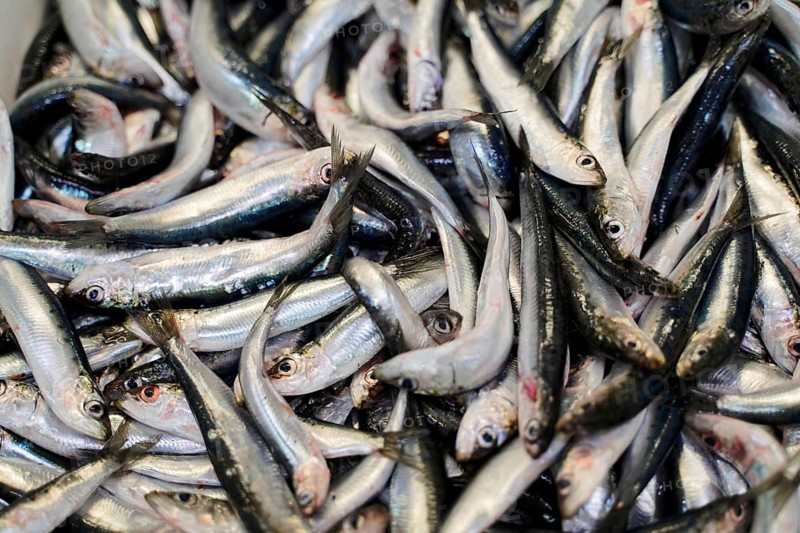 Market hall, Mercado de Nuestra Senora de Africa, Santa Cruz de Tenerife, Tenerife, Canary Islands, Spain, Europe, Pile of small silver and black fish at a market, Europe