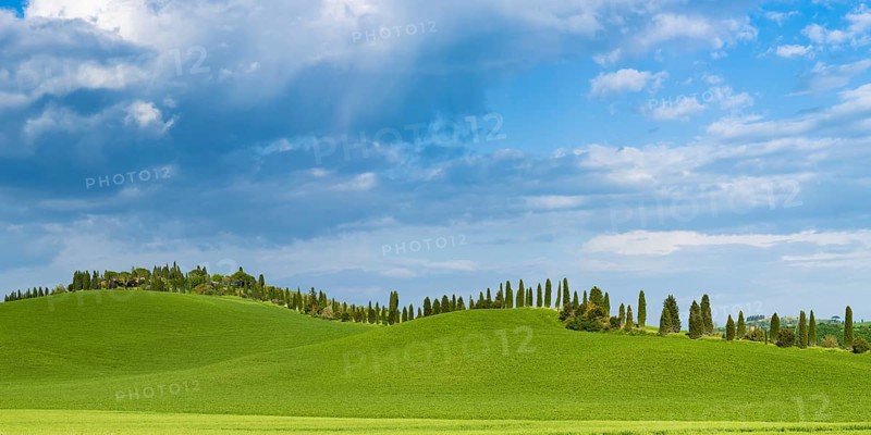 Crete Senesi, Province of Siena, Tuscany, Italy, Europe