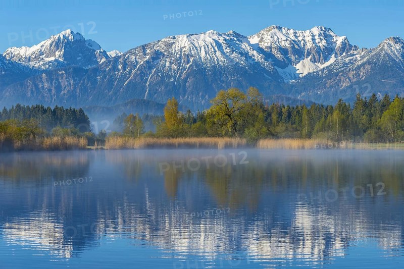 Morning atmosphere at the Hopfensee, near Fuessen, Ostallgaeu, Allgaeu, behind the Allgaeu Alps, Bavaria, Germany, Europe