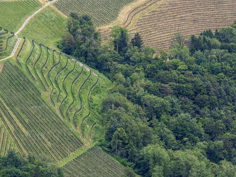 Hilly landscape, vineyards, view from the Demmerkogel lookout point, St. Andrae-Hoech, Sausal wine country, Styria, Austria, Europe