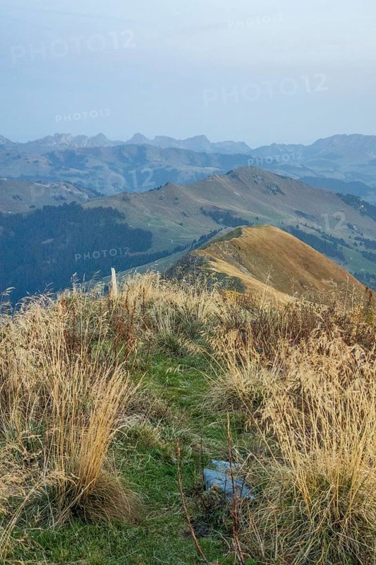 Path through the grasses, leading to a mountain range in the background, mountain panorama with rugged mountains and green valleys, saas fee, Switzerland, Europe