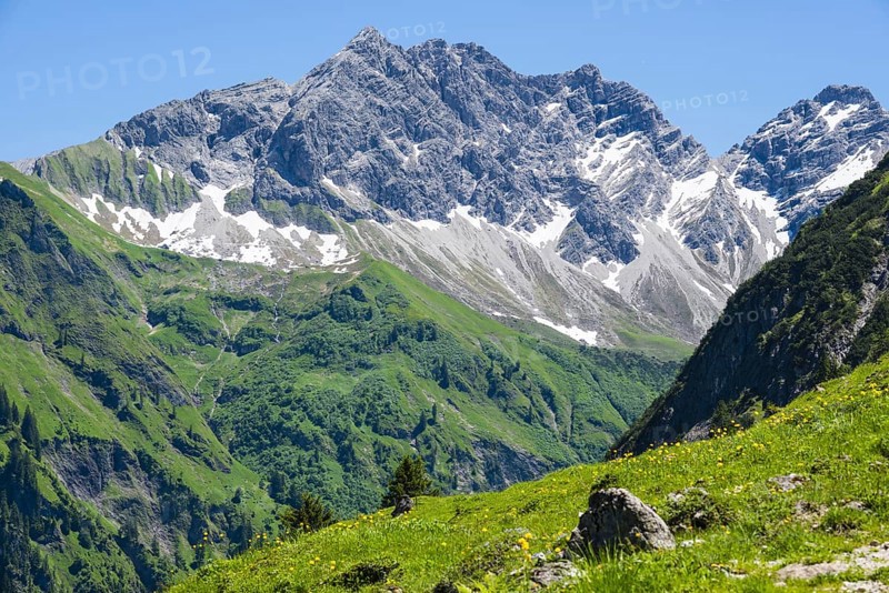 Grosser Wilder, 2379m, Hochvogelgruppe and Rosszahngruppe, Allgaeu Alps, Allgaeu, Bavaria, Germany, Europe
