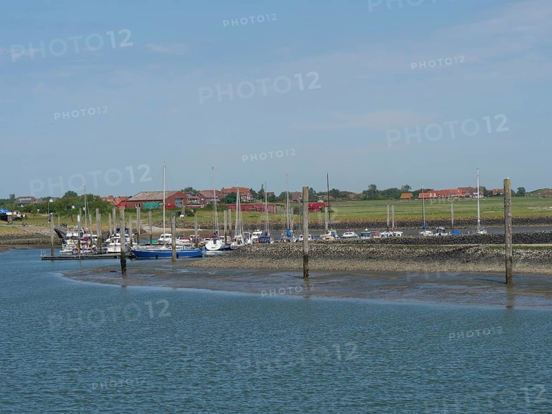 A village harbour with several boats moored, surrounded by the coastal landscape, Baltrum Germany