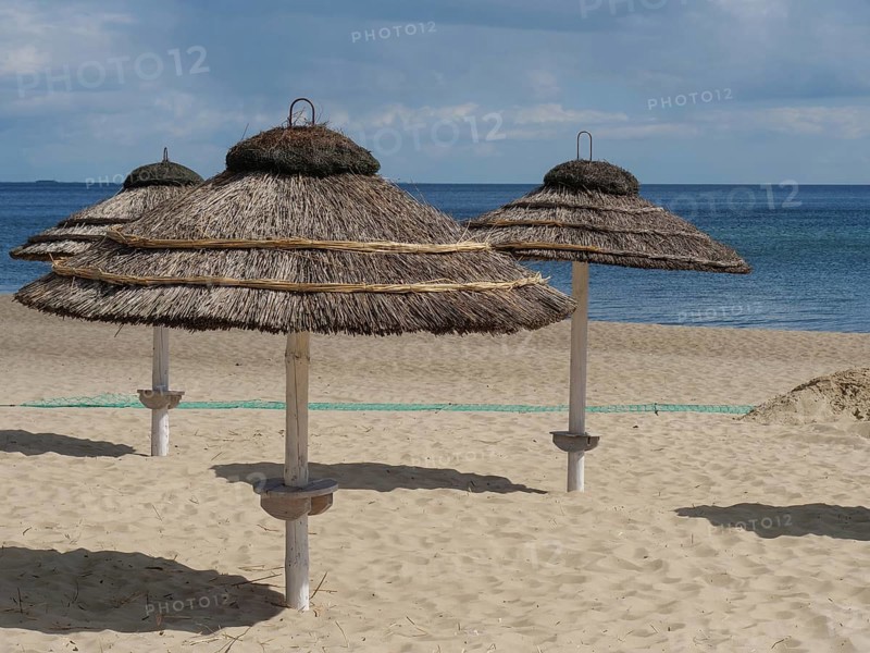 Beach with several thatched umbrellas and calm sea under partly cloudy sky, spring on the Polish Baltic Sea coast with green trees and clear water, Gdansk, Poland, Europe