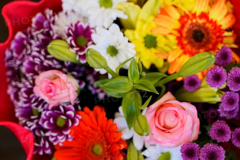 Market hall, Mercado de Nuestra Senora de Africa, Santa Cruz de Tenerife, Tenerife, Canary Islands, Spain, Europe, Colourful bouquet of flowers with different blossoms in close-up, decorative and fresh, Europe