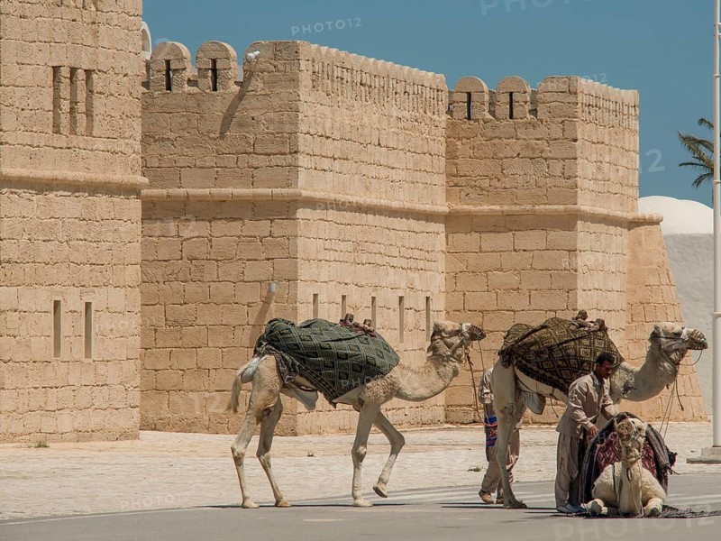Two men lead camels in front of a sand-coloured fortress along a road, Tunis in Africa with ruins from Roman times, modern mosques and blue and white houses in sidi-bou-said, Tunis, Tunisia, Africa