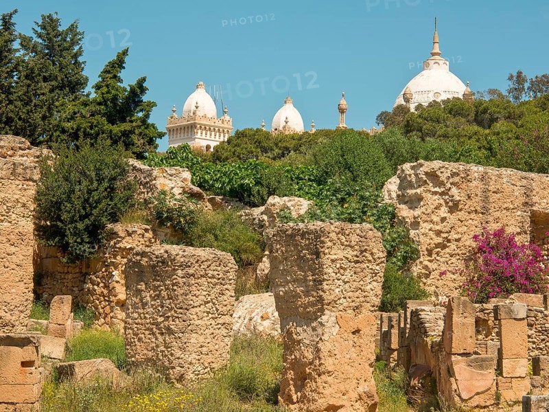 Ruins of ancient buildings with a view of historic domes in the background, surrounded by green vegetation under a sunny sky, Tunis in Africa with ruins from Roman times, modern mosques and blue and white houses in sidi-bou-said, Tunis, Tunisia, Africa