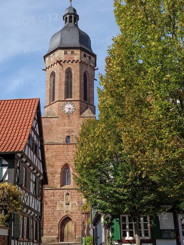 Church tower and half-timbered houses, surrounded by autumnal trees, under a blue sky, historic half-timbered houses in the Palatinate, kandel, Germany, Europe