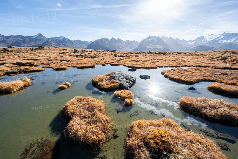 Small lake on the high plateau of the Gurgler Seenplatte, glaciated mountain peaks in the background, in autumn, Sonnenstern, near Obergurgl, Oetztal Alps, Tyrol, Austria, Europe