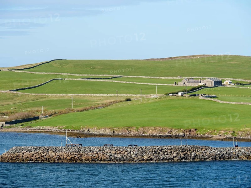Small harbour landscape with green hills, houses and a stone embankment along the coast under a blue sky, Green meadows by the sea with stony shores and ruins, Lerwick, shetland