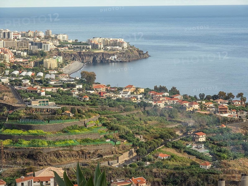 Coastal landscape with houses, green areas and terraced hills leading to the coast, Madeira, Portugal, Europe