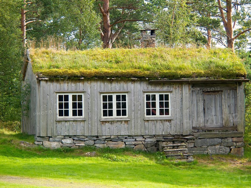Wooden hut with grass roof and white windows surrounded by trees in a natural environment, grey wooden houses in the forest, Molde, norway