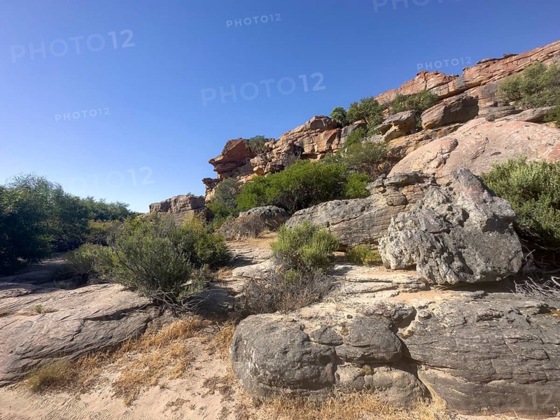 Hiking trail Sevilla Art Rock Trail, dry landscape with yellow rocks, Cederberg Mountains, near Clanwilliam, Western Cape, South Africa, Africa