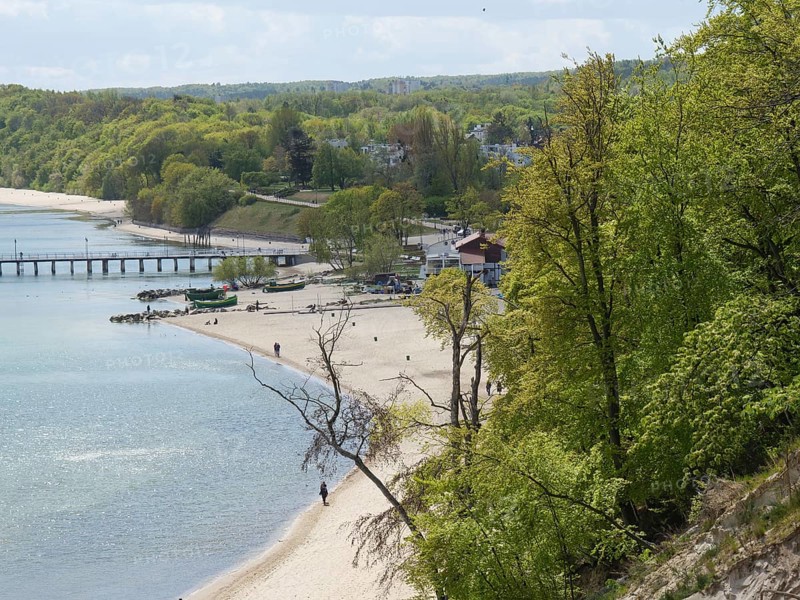 View of a beach with surrounding trees and houses in the background, calm water, Green trees on a Baltic Sea beach with clear water, Sopot, poland