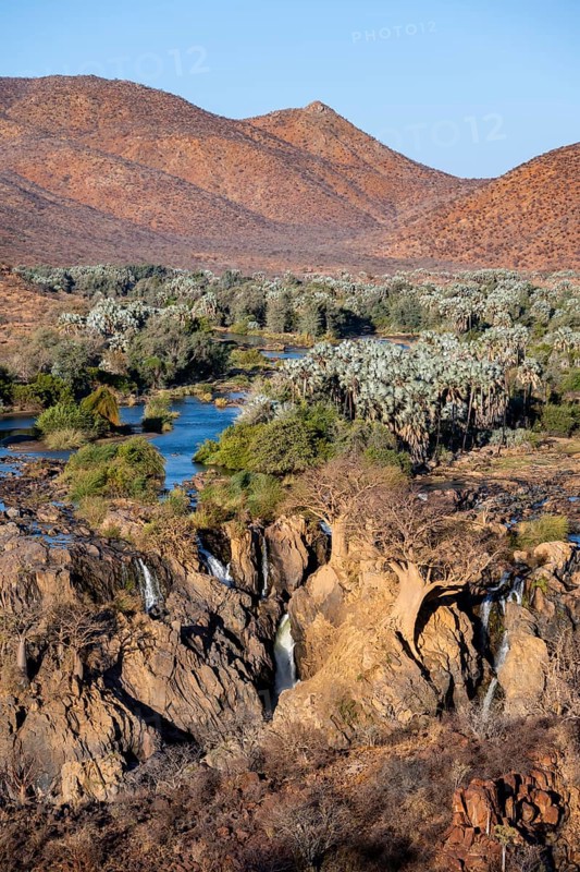 Kunene River with green vegetation in dry red mountain landscape, waterfall and African Baobab (Adansonia digitata), in the evening light, Epupa Falls, Kunene, Namibia, Africa
