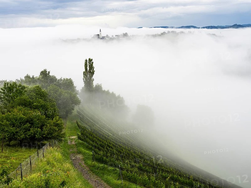 Church rises out of the morning mist, Frauenberg pilgrimage church, near Leibnitz, Styria, Austria, Europe
