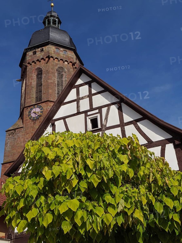 Traditional tower and half-timbered house surrounded by trees under a blue sky, historic half-timbered houses in the Palatinate, kandel, Germany, Europe