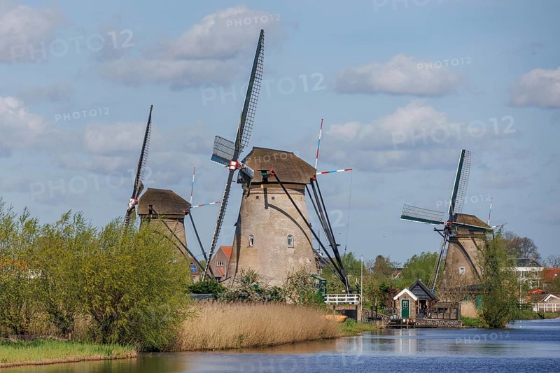Three windmills next to a canal with trees and village in the background, under a clear sky, windmills of Kinderdijk on a river, Kinderdijk, the Netherlands