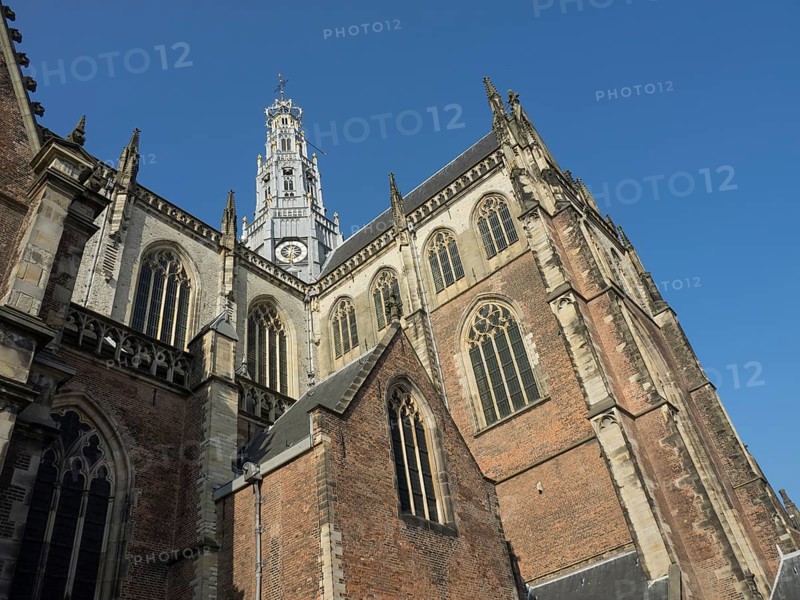 Historic Gothic church with high tower and ornate window facades under a clear sky, Haarlem, Netherlands