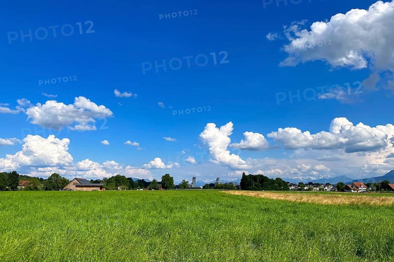 Vast green fields under a bright blue sky with many clouds, idyllic summer landscape, Sempach, Lucerne, Switzerland, Europe