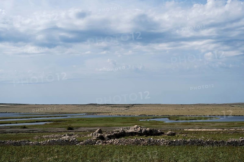 Veliko Blato bird sanctuary, Pag island, Zadar, Dalmatia, Croatia, Europe