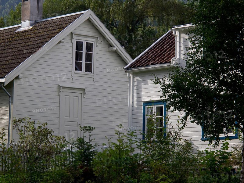 Two white wooden houses with windows, surrounded by a garden and trees in green surroundings, grey wooden houses in the forest, Molde, norway